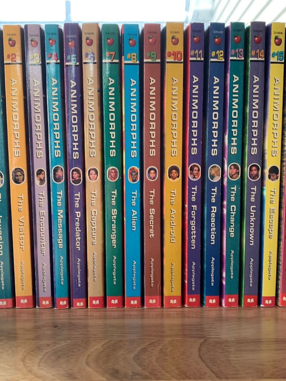 Animorph book collection